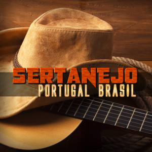 Listen to Não Aprendi A Dizer Adeus song with lyrics from Léo & Leandro