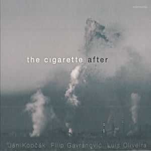 Listen to Did You Ever Say Sorry? song with lyrics from Jan Kopcak