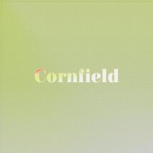 Various Artists的專輯Cornfield
