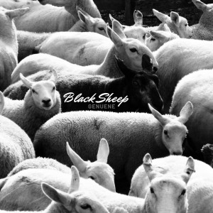 Album Black Sheep (S.E.X.) from Genuene