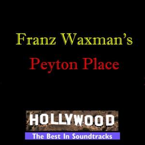 ดาวน์โหลดและฟังเพลง After The Party - Chase In The Woods พร้อมเนื้อเพลงจาก Franz Waxman