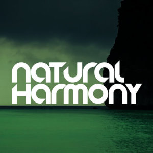 ดาวน์โหลดและฟังเพลง Indigenous Birds พร้อมเนื้อเพลงจาก Nature Sounds