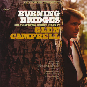 ดาวน์โหลดและฟังเพลง As Far As I'm Concerned พร้อมเนื้อเพลงจาก Glen Campbell