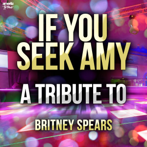 收聽Ameritz Top Tributes的If You Seek Amy歌詞歌曲