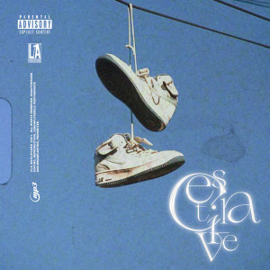 Listen to C'est La Vie (Explicit) song with lyrics from Swart