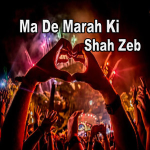 Listen to Shahzeb Her Sa Mano song with lyrics from Shah Zeb