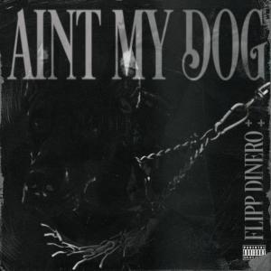 Flipp Dinero的專輯Ain't My Dog (Explicit)