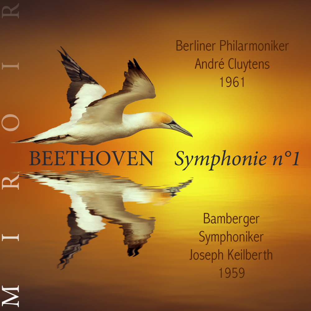 Symphonie n°1, Op. 21: I. Adagio molto — Allegro con brio