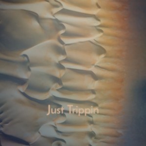 Listen to Life Not Lost - Touch Me Please (Twilords Remix) song with lyrics from Life Not Lost