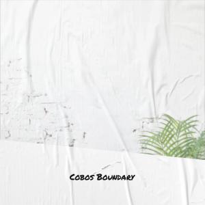 收听Albena Newo的Creepy Damien歌词歌曲