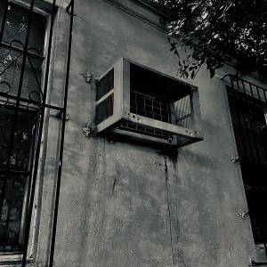 收聽Lil Peter In The Street的Peyi m Tounen Simetyè歌詞歌曲