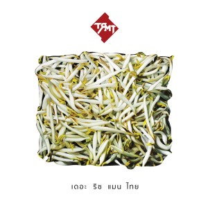 ดาวน์โหลดและฟังเพลง ธิดาประจำอำเภอ พร้อมเนื้อเพลงจาก The Richman Toy