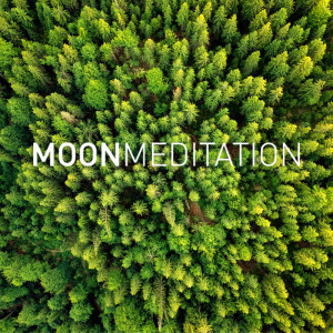 ดาวน์โหลดและฟังเพลง Stars พร้อมเนื้อเพลงจาก Moon Slaapmuziek