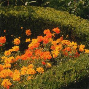 收聽Midnight Hour的Summer Garden歌詞歌曲