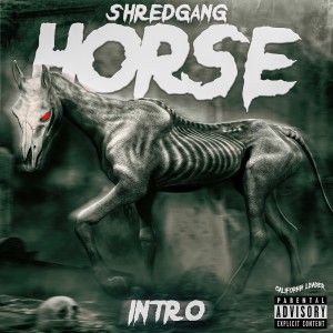 ดาวน์โหลดและฟังเพลง Intro (Explicit) พร้อมเนื้อเพลงจาก Shredgang Horse