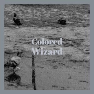 Album Colored Wizard from Various Artists