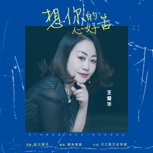 收聽王愛華的想你的心好苦 (DJ默涵版)歌詞歌曲