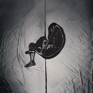 Album 光明路 from 贰伍吸烟所
