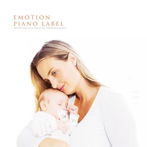 Listen to Beautiful Autumn Night song with lyrics from Taste Boy