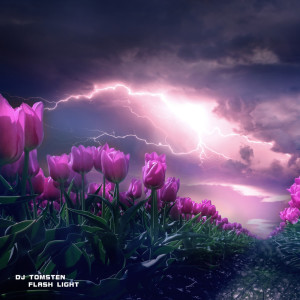 Listen to Flash Light song with lyrics from Dj Tomsten
