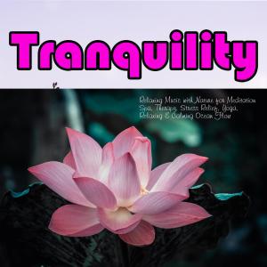 Album Tranquility: Relaxing Music with Nature for Meditation Spa, Therapy, Stress Relief, Yoga, Relaxing & Calming Ocean Flow from Stress Relief Therapy Music Academy