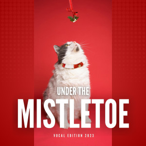 Christmas Music Holiday的專輯Under the Mistletoe