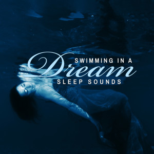 Listen to Yoga Before Sleep song with lyrics from Stress Relief Calm Oasis
