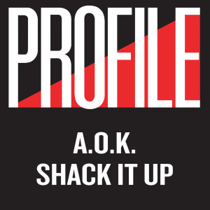 ดาวน์โหลดและฟังเพลง Shack It Up (Instrumental) พร้อมเนื้อเพลงจาก A.O.K.