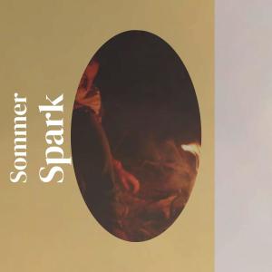 Album Sommer Spark from 