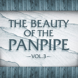 Album The Beauty of the Panpipe Vol. 3 from The Panned Pipers