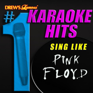 收聽Karaoke的Wish You Were Here (As Made Famous By Pink Floyd)歌詞歌曲