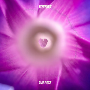 Album Forever from Ambrose