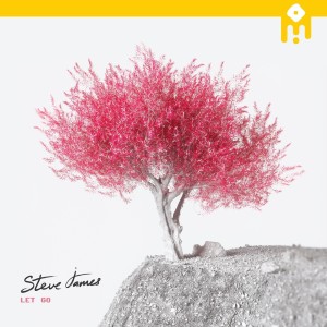 收聽Steve James的let go歌詞歌曲