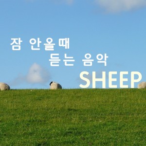Listen to One lamb song with lyrics from SHEEP