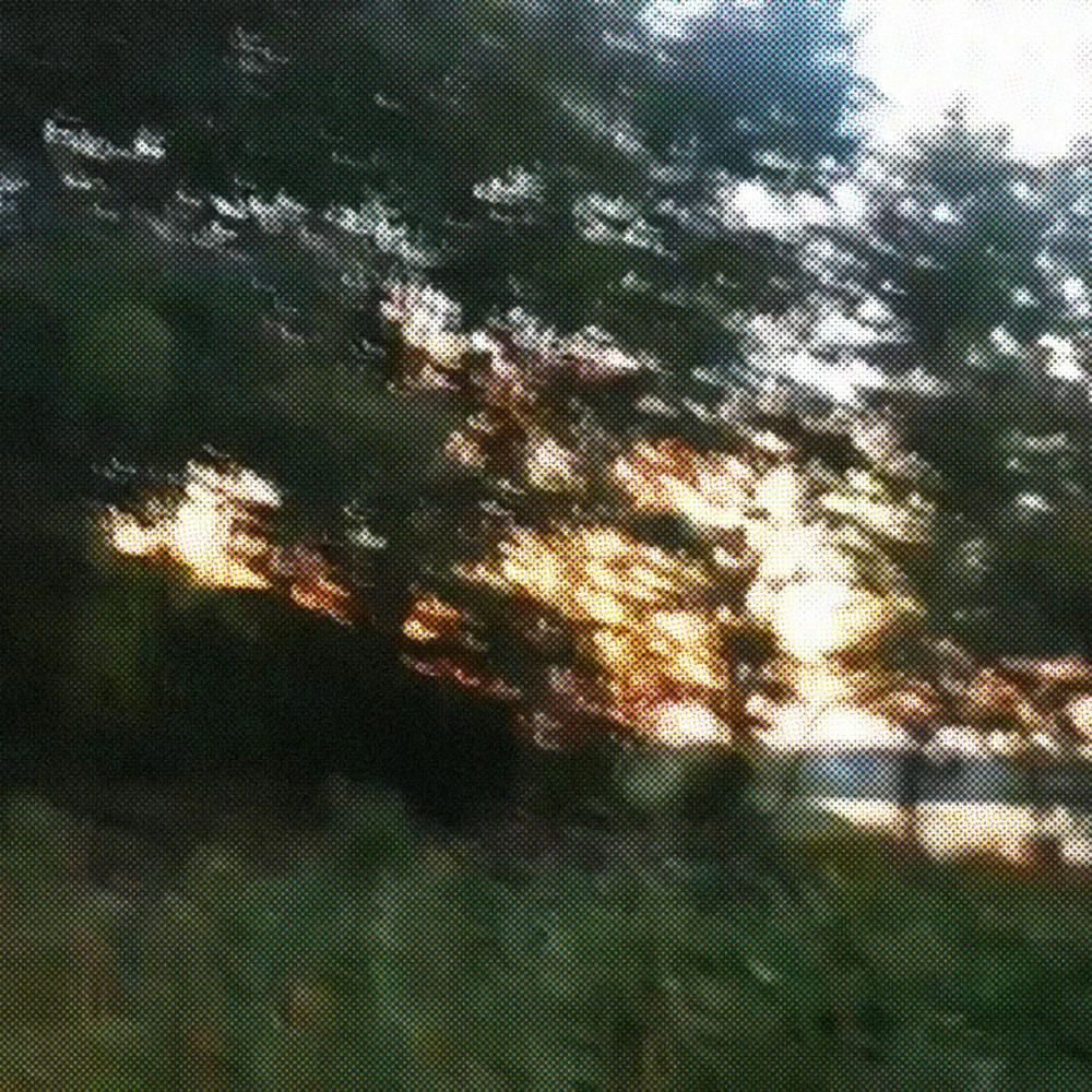 Sunflower (Explicit)