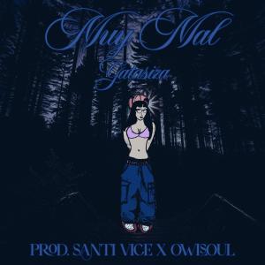收聽Gata Siza的Muy Mal (feat. Santi Vice & Owlsoul)歌詞歌曲
