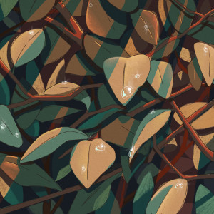 收聽Cauce的You Again歌詞歌曲