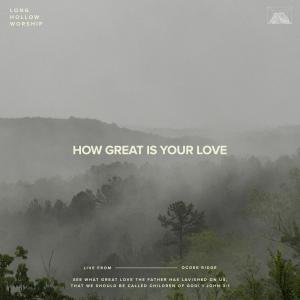Long Hollow Worship的專輯How Great Is Your Love (Live)