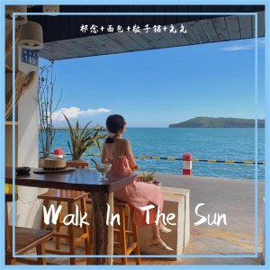 Album Walk In The Sun oleh 敬子铭