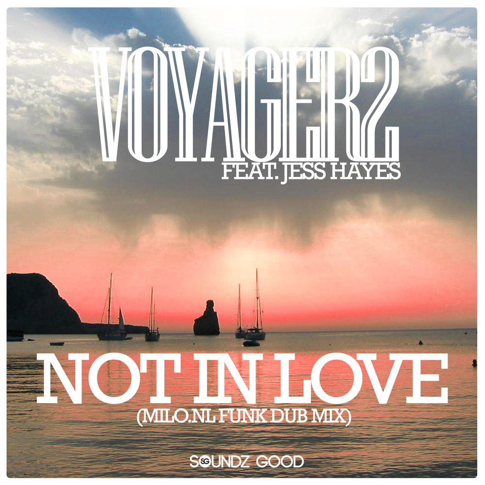 Not In Love (Milo.nl Funk Dub Mix)