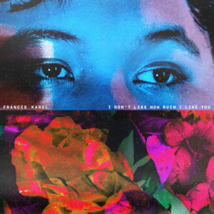 ดาวน์โหลดและฟังเพลง I Don't Like How Much I Like You พร้อมเนื้อเพลงจาก Francis Karel