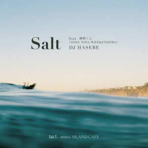 Salt (feat. Isonokun) dari Dj Hasebe