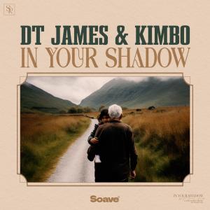 DT James的專輯In Your Shadow