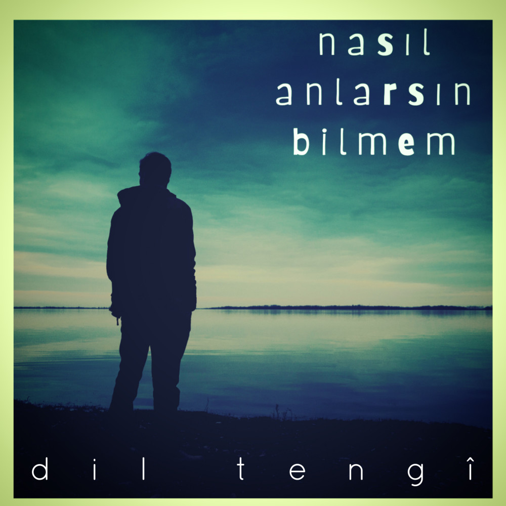 Nasıl Anlarsın Bilmem