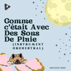 Musique pour Enfants Dodo的專輯Comme c'était Avec Des Sons De Pluie (Instrumental D'Orchestre)