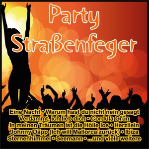 Various Artists的專輯Party Straßenfeger