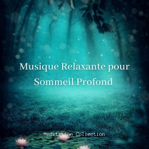 Album Musique relaxante pour sommeil profond from Zen Méditation Ambiance