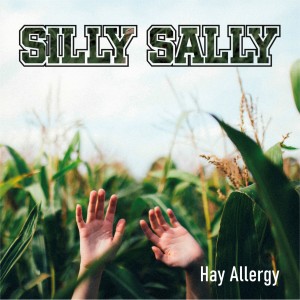 Dengarkan Hay Allergy lagu dari Silly Sally dengan lirik