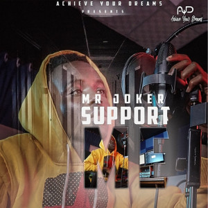 Listen to Support Me song with lyrics from Mr Joker