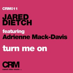 Jared Dietch的專輯Turn Me On (feat. Adrienne Mack-Davis)